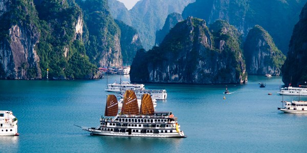 Tour trong nước