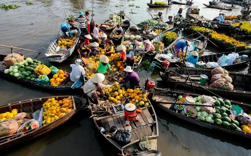 TOUR DU LỊCH SÀI GÒN - BẾN TRE - CẦN THƠ - CHÂU ĐỐC 3 NGÀY 2 ĐÊM
